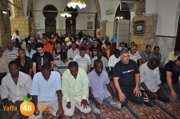 trawe7 7san bek 715 (27).JPG